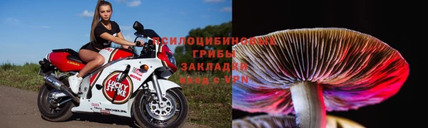 кокаин колумбия Алексин