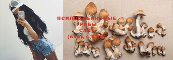 стаф Медвежьегорск