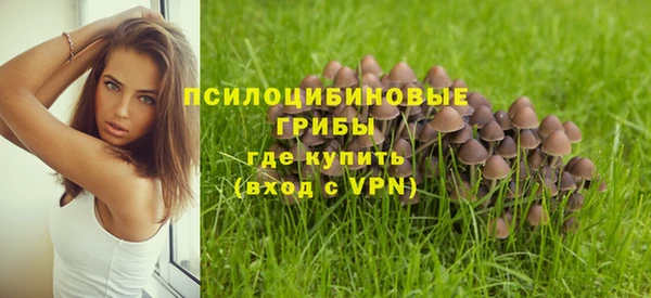 МДПВ Алексеевка