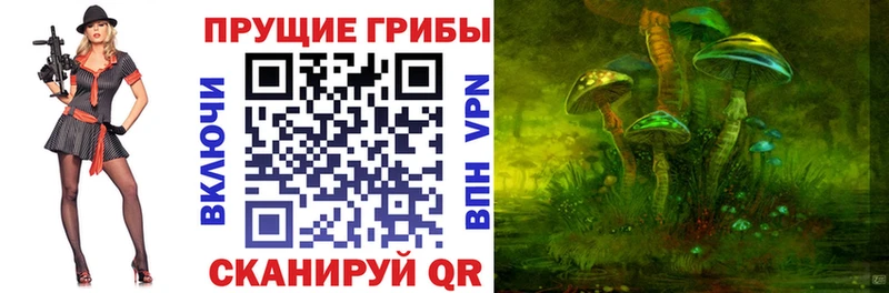 Псилоцибиновые грибы GOLDEN TEACHER  цены   Старая Купавна 